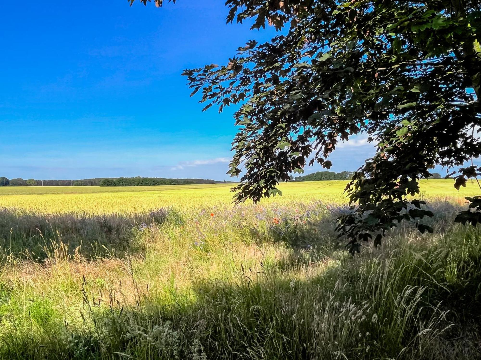 Apartament Lerchenhof In Reestow Zewnętrze zdjęcie