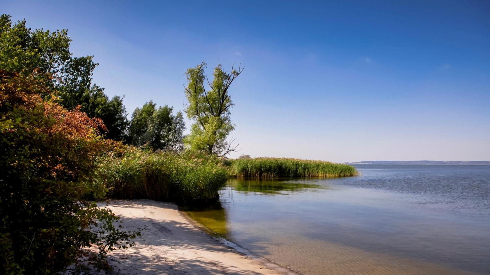 Apartament Lerchenhof In Reestow Zewnętrze zdjęcie