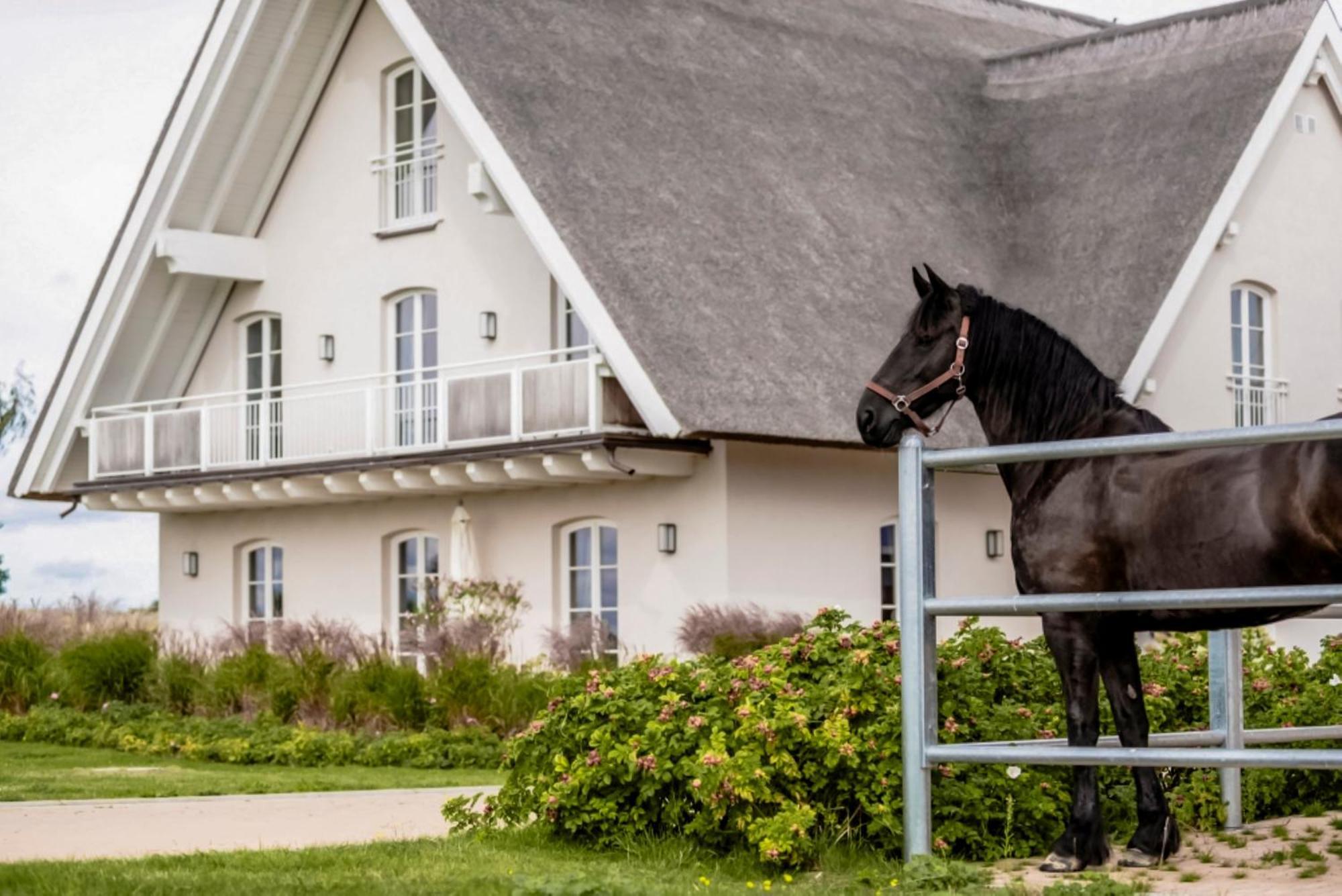 Apartament Lerchenhof In Reestow Zewnętrze zdjęcie